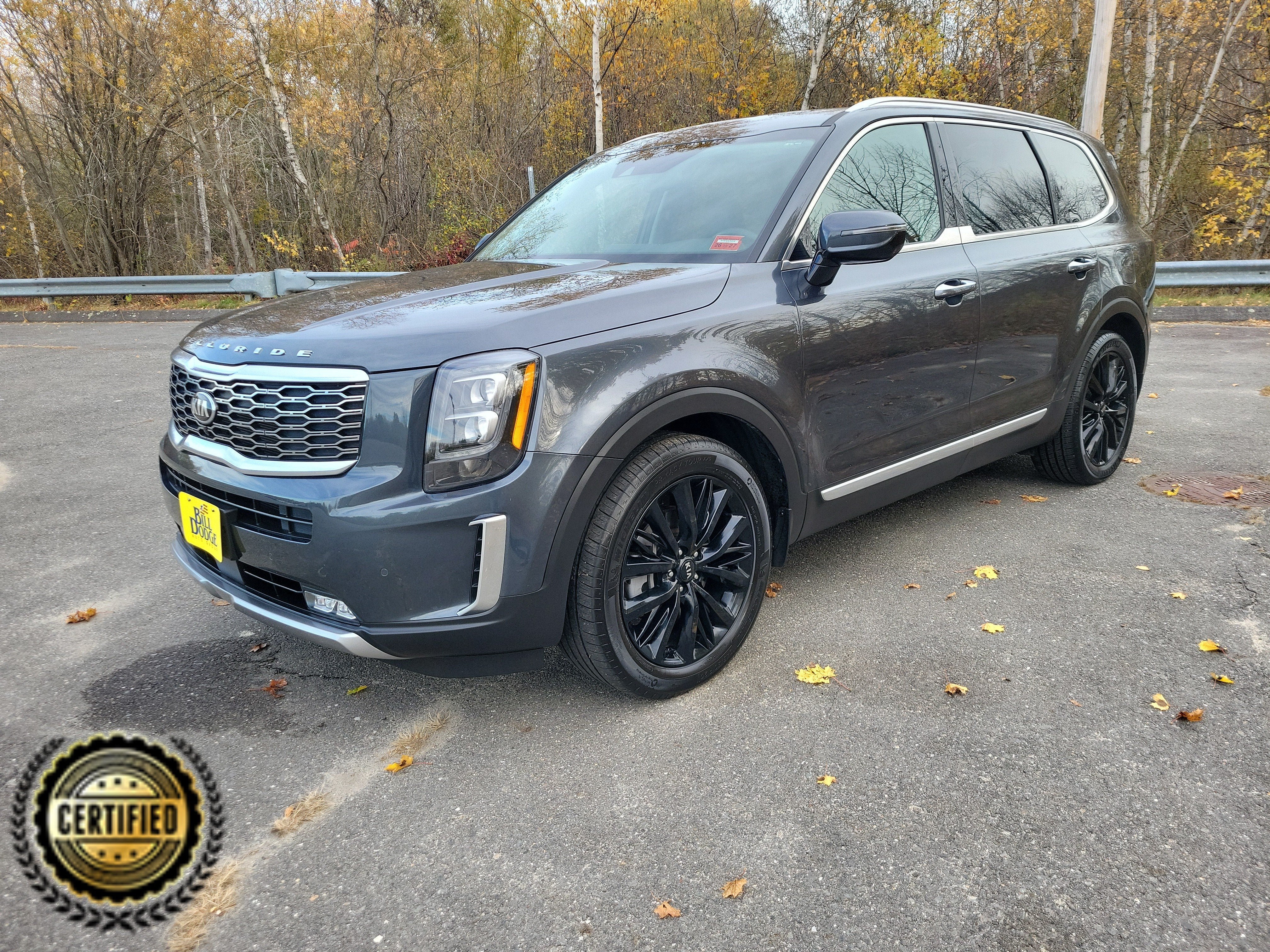 2020 Kia Telluride SX
