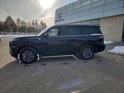 2025 INFINITI QX80 Pure 4WD