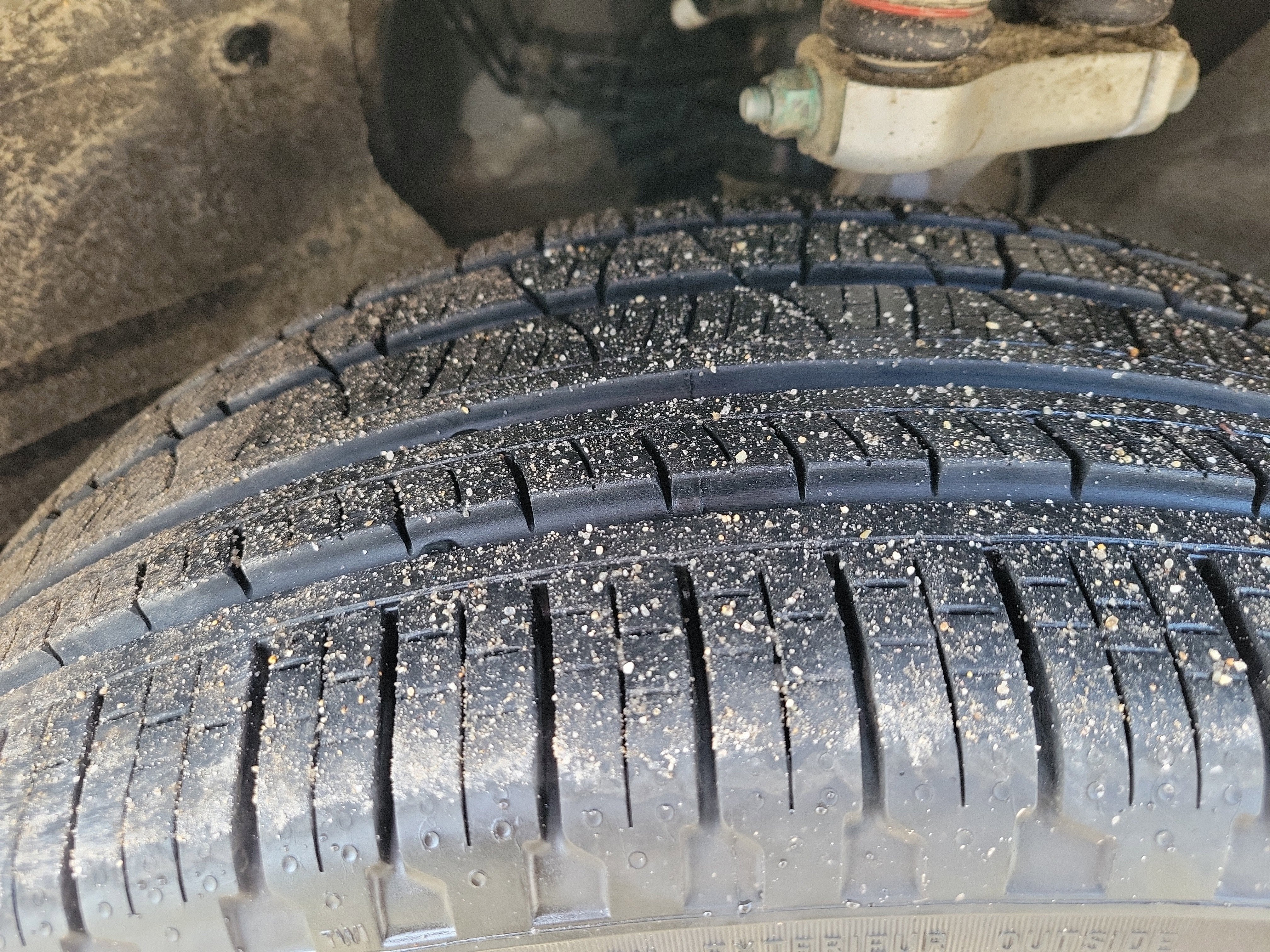 2025 Audi SQ5 Premium Plus