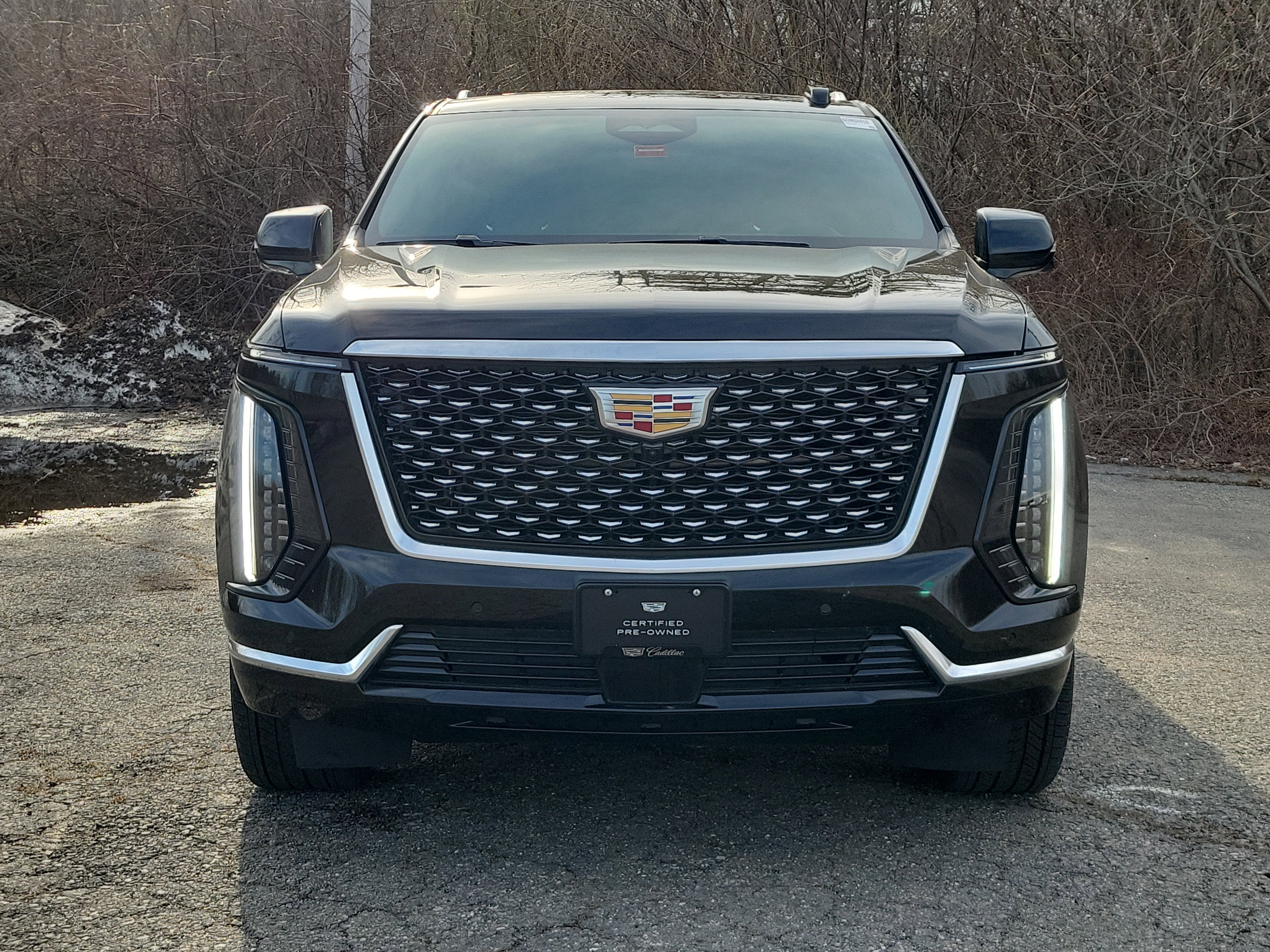 2025 Cadillac Escalade ESV Premium Luxury