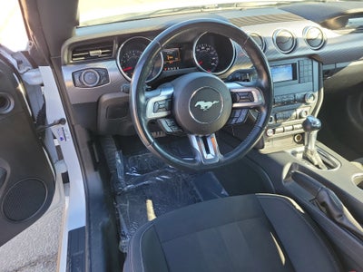 2021 Ford Mustang GT Fastback