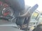 2019 GMC Sierra 1500 Limited 4WD Double Cab