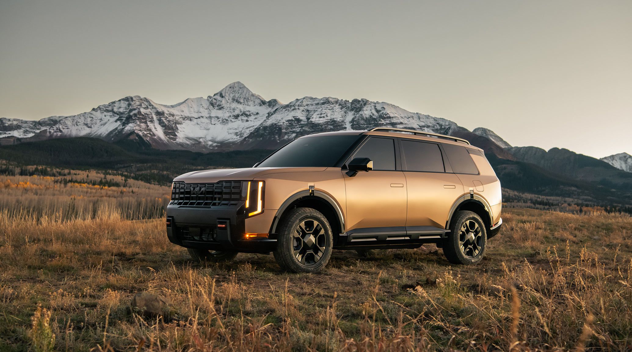 A brown Kia Telluride parked in a field