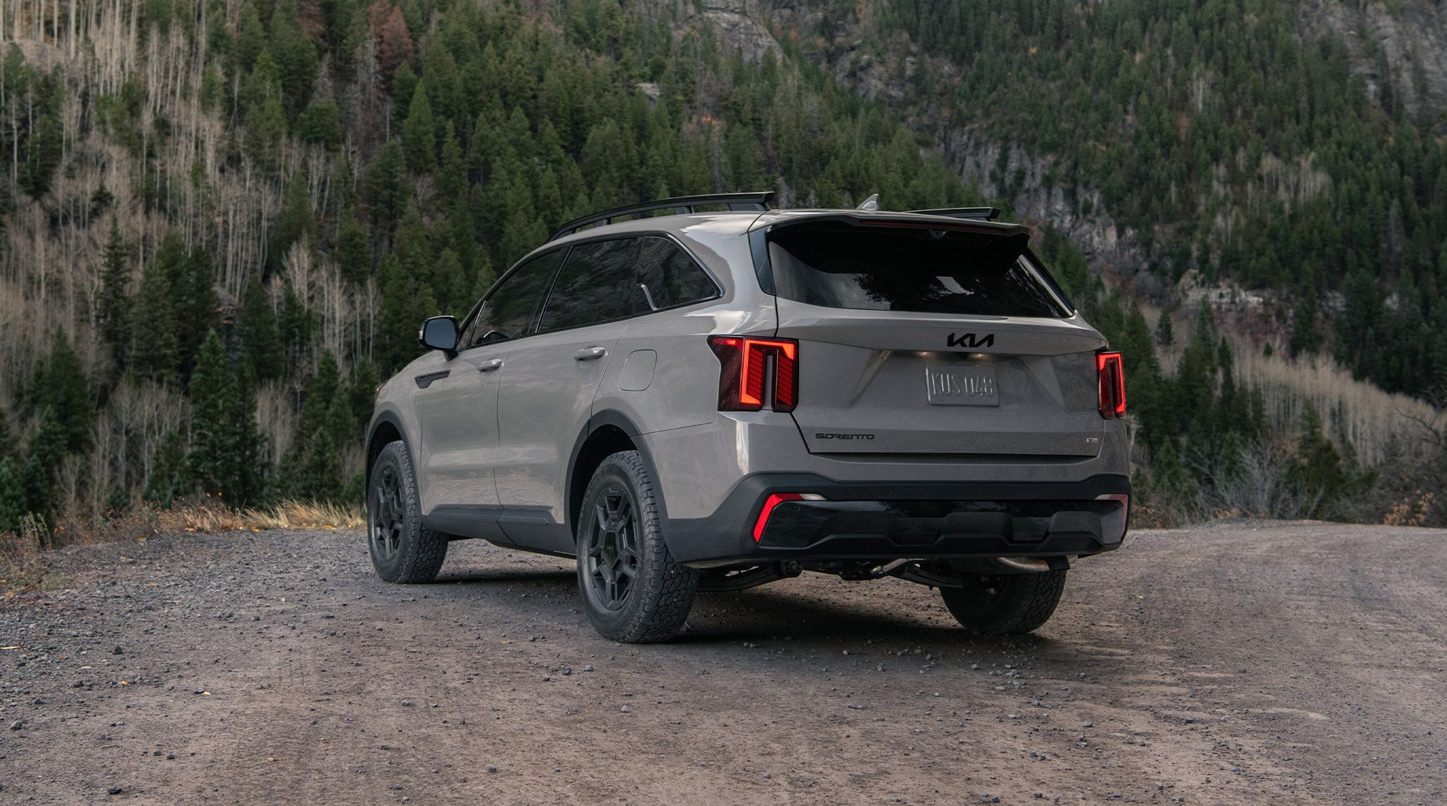 A gray Kia Sorento parked overlooking a forest on a dirt path