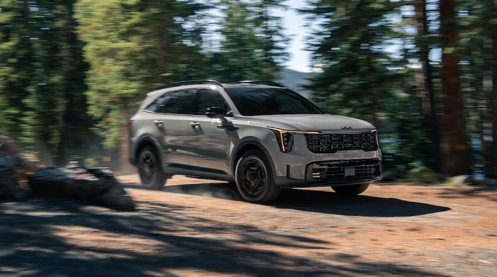 A gray 2026 Kia Sorento SUV driving down a forest trail